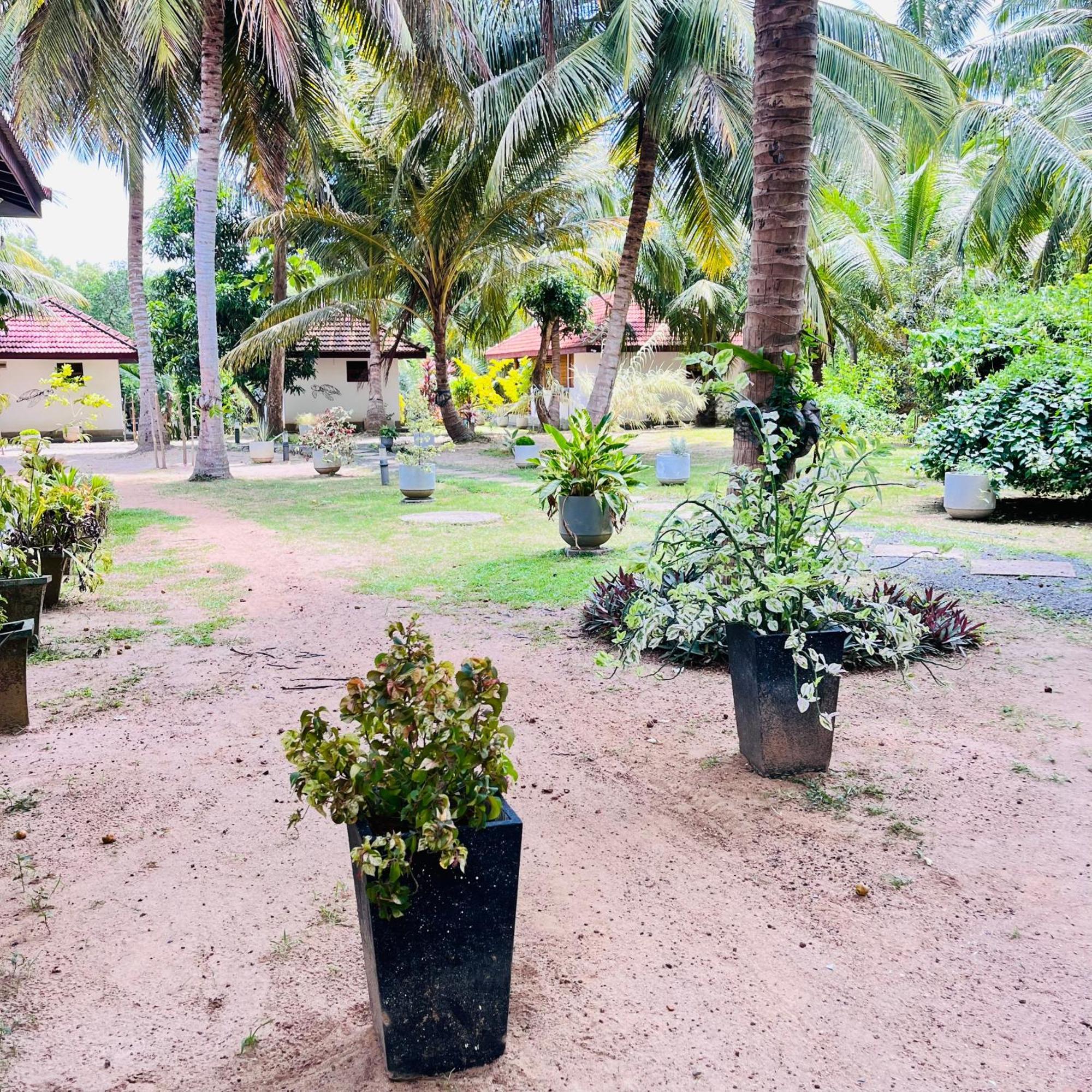 Hanguk Lanka Lagoon Villa Tangalle Eksteriør bilde