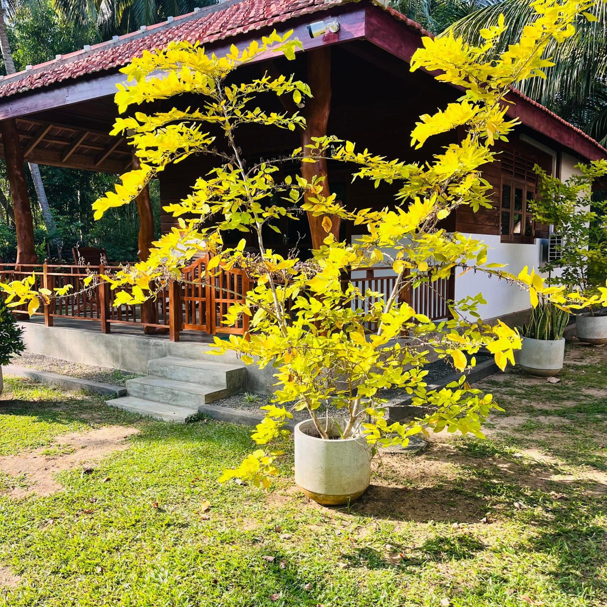 Hanguk Lanka Lagoon Villa Tangalle Eksteriør bilde